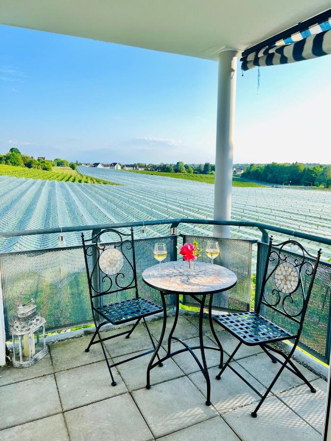 Panorama Domizil Ravensburg Mit Alpenblick Balkon Lägenhet Exteriör bild